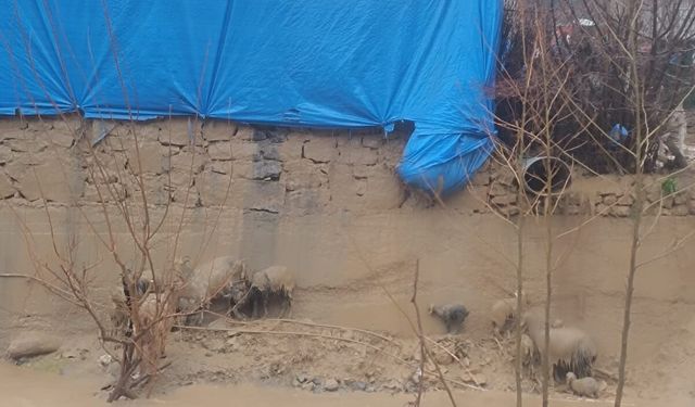 Çığ düşen kara yolunda yolcu otobüsünde mahsur kalanlar kurtarıldı (3)