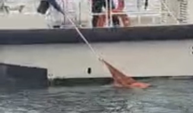 Denizde hareketsiz halde bulunan kadın hastaneye kaldırıldı