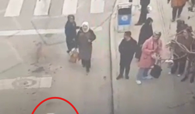 Dilencilik bahanesiyle çantanın kulpunu kesip cüzdan yağmalayan şüpheli tutuklandı