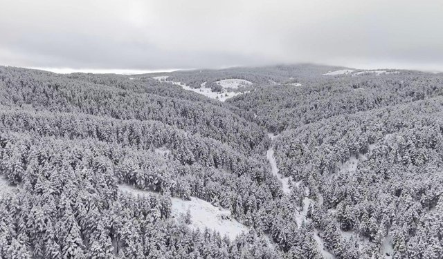 Dumanlı Tabiat Parkı'nda tablo gibi kış görüntüsü