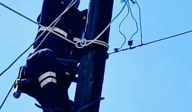 Elektrik direğinde mahsur kalan kediyi ekipler kurtardı