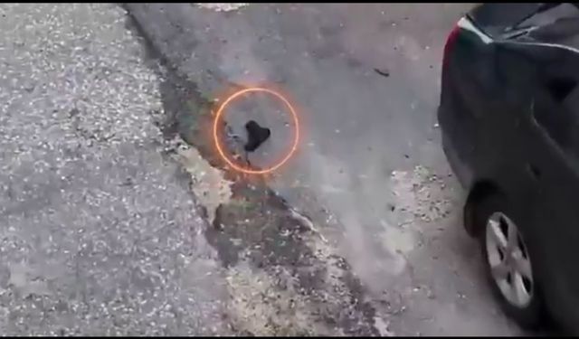 Gaziantep'te firari hükümlü polisi tabanca ile tehdit etti