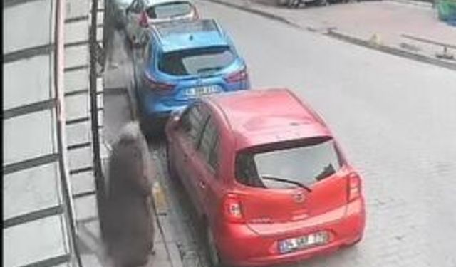 İstanbul - Fatih'te sokakta kadının elindeki telefonu çalıp kaçtı