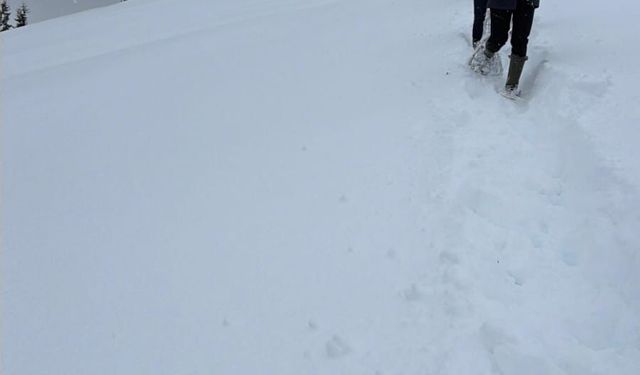 Karda mahsur kalan hayvanları köyün gençleri kurtardı