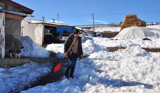 Köpeklerine saldıran kurtları kürekle kovaladı