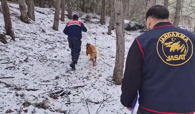 Ormanda bulunan kafatası ve kemik parçaları 2 kadına ait çıktı; 10 yıllık çifte cinayet aydınlatıldı