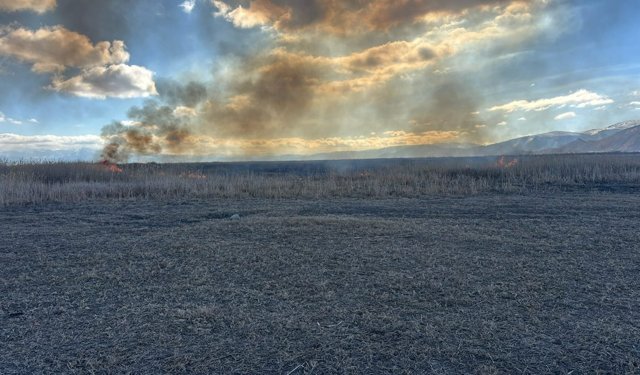 Sultan Sazlığı Milli Parkı'nda yangın