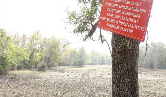 Türkiye'nin 3'üncü büyük longozu yeniden su ile doldu