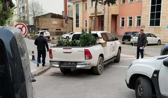 Apartman dairesinde uyuşturucu yetiştiren şüpheli yakalandı