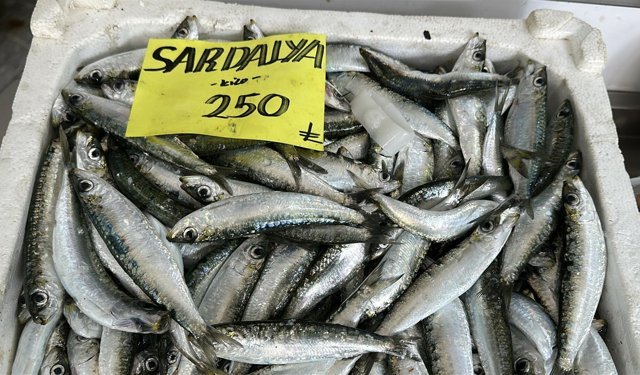 'Balıkta hızlı avcılık pek çok sıkıntıyı beraberinde getirdi'