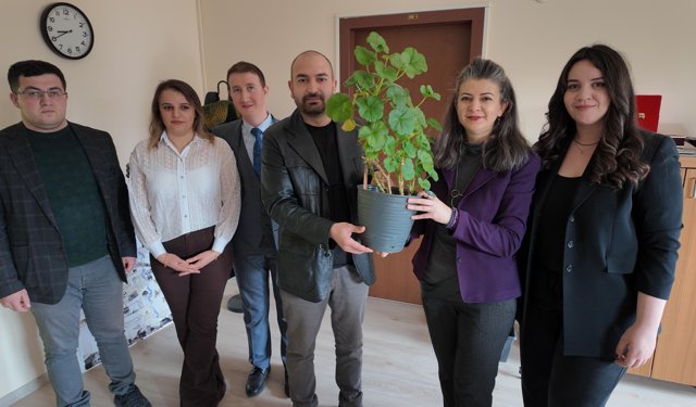 Bitkilerden elektrik üretildi; Bolu ve Ankara'dan ekip biyopil geliştirdi