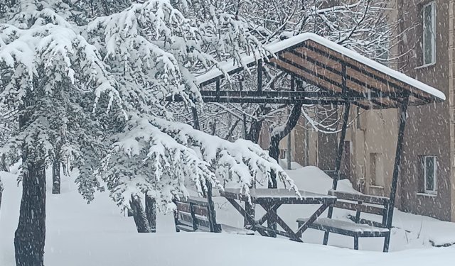 Bitlis'te kar yağışı