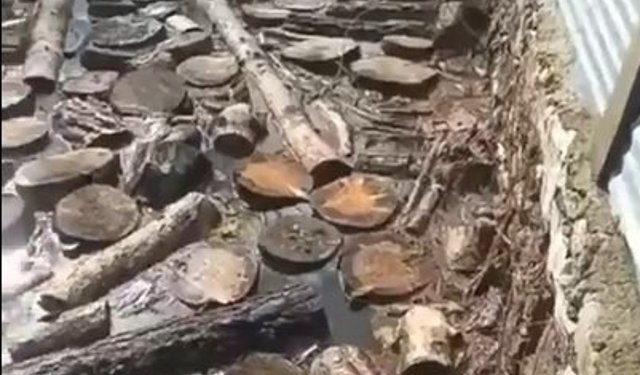 Derenin taştığı köyde ev ve ahırları su bastı