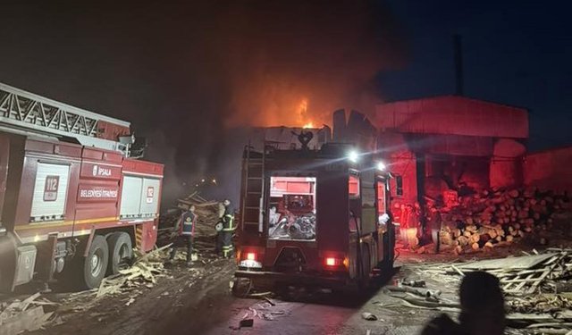 Edirne'de kereste fabrikasında yangın (2)