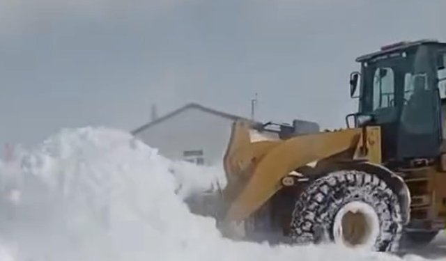 Erzurum ve Ardahan'da kar yağışı