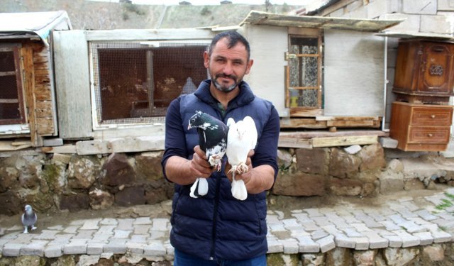Hobi olarak başladığı güvercin tutkusunu 35 yıldır sürdürüyor