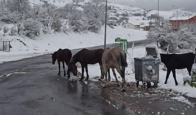 Kar yağışı nedeniyle Ilgar Geçidi ulaşıma kapandı