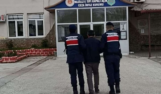 Zeytin bahçesindeki sera içerisinde 208 kök Hint keneviri ele geçirildi