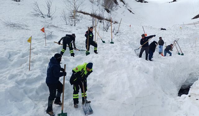 4 ay önce çığ altında kalan çoban için yeniden başlatılan arama çalışmaları 3'üncü gününde / Ek fotoğraflar