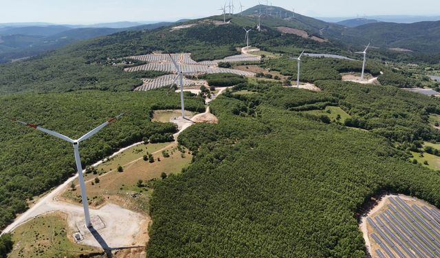 Akfen Yenilenebilir Enerji, karbon piyasalarındaki faaliyetlerini açıkladı