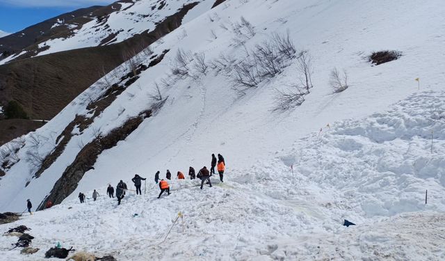 Çığ altında kalan çoban için yeniden başlatılan arama çalışmaları 4'üncü gününde