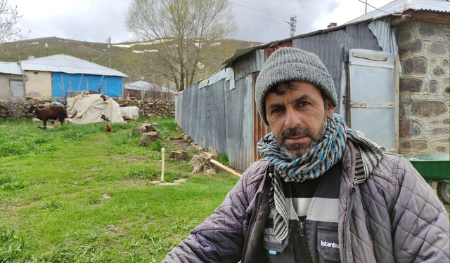 Kardan kapanan yaylalara çıkamayan besiciler, hayvanlarını ovada bekletiyor