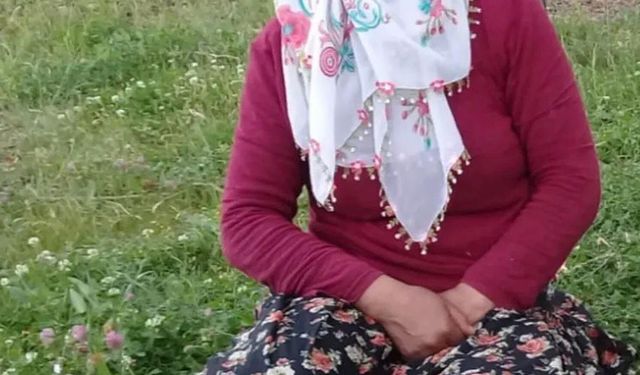 Muş'ta dereye düşen Gülsima aranıyor