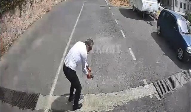 Otobüsü durdurup kaplumbağayı ezilmekten kurtardı