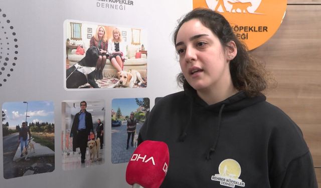 Rehber Köpekler Derneği Başkanı Tunçer: Türkiye'de aktif 8 rehber köpek bulunuyor; 300 görme engelli sırada bekliyor