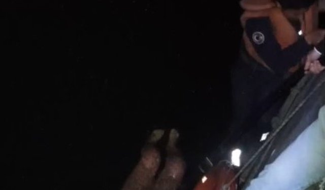 Seyhan Nehri'ne düşen kadını itfaiye ekibi kurtardı