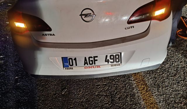 Sürüye çarpan otomobildeki 2 kişi yaralandı, 40 koyun öldü