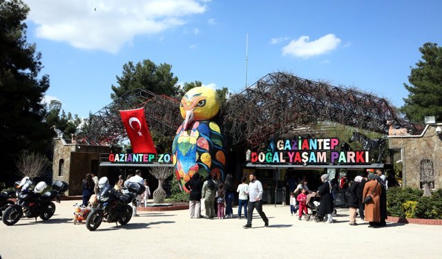 Türkiye'de doğan ilk zürafanın ismi 'Çınar' oldu