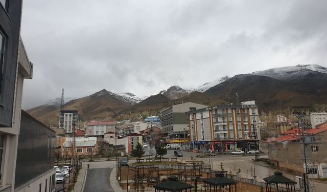 Van'a mayıs ayında kar yağdı