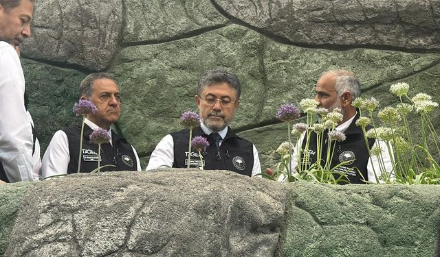 Yalova'da Geofit bahçesinde inceleme yapan Bakan Yumaklı: Yılda 2 milyar adet süs bitkisi üretiyoruz