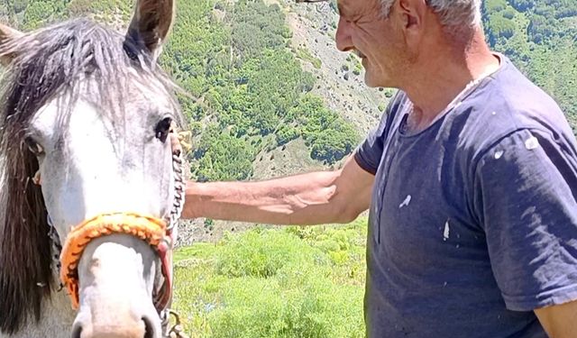 17 yaşından beri yılın 6 ayını yaylada tek başına geçiriyor