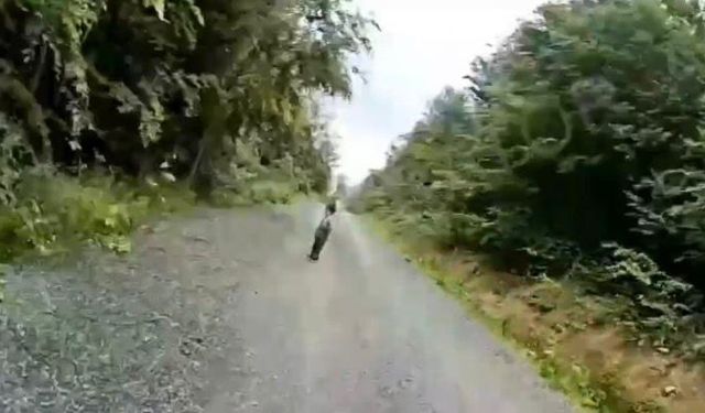 3 yaşındaki kayıp Göktürk ormanda bulundu; jandarmayla sohbet anları kamerada