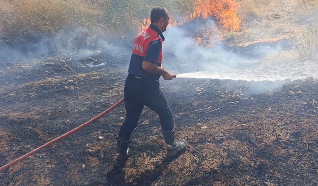 Adıyaman'da örtü ve anız yangınları; 1500 hektar alan zarar gördü