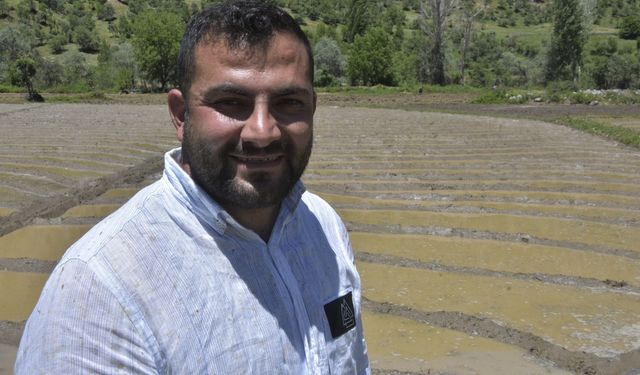 Bitlis'te imece usulü geleneksel çeltik ekimi başladı