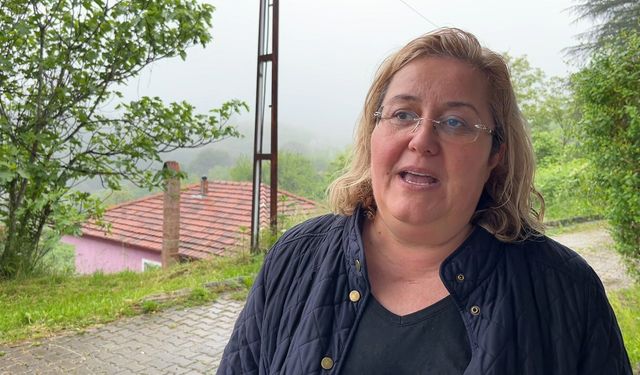 Bozayıların yerleşim yerlerine inme nedenlerini araştırıyorlar