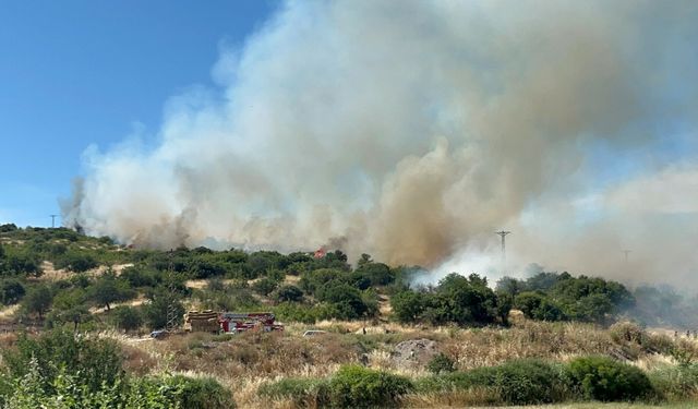 Çanakkale'de bozuk ormanda yangın