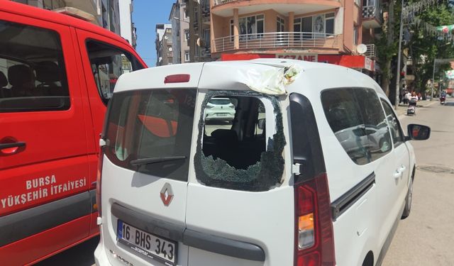 Devrilen tarihi çınar araca zarar verdi; yol trafiğe kapandı
