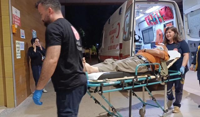 Erik toplarken ağaçtan düşüp, yaralandı