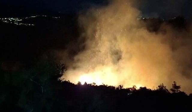 Hatay'da orman yangını, büyümeden söndürüldü