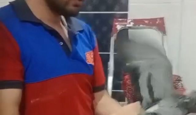 Havalandırma boşluğuna düşen güvercini itfaiye kurtardı