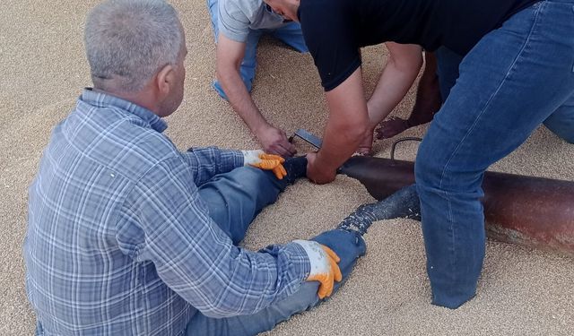 Helezon makinesine ayağı sıkışan çiftçi yaralandı