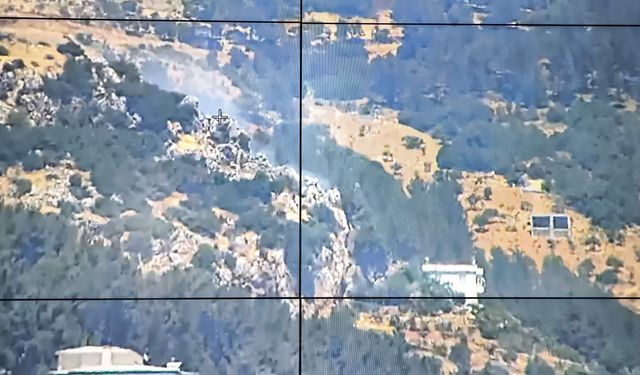 Kahramanmaraş'ta orman yangını