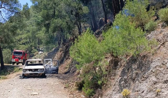 Kamyonette çıkan yangın ormana sıçradı