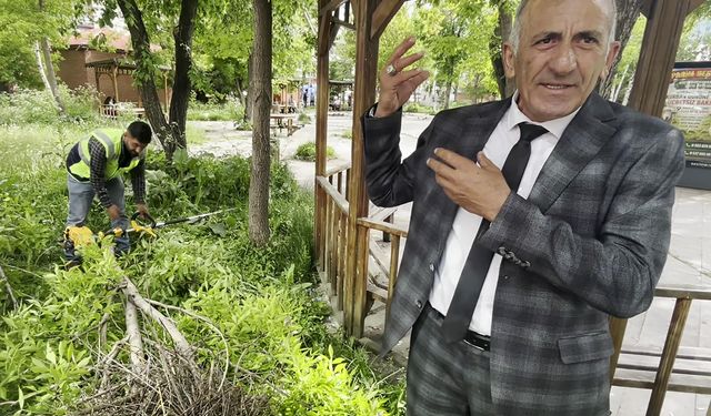 Kırılan daldaki karga yuvası özenle başka dala nakledildi