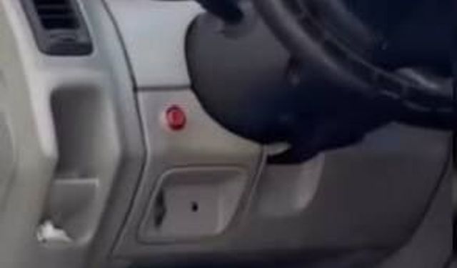 Sultangazi'de kaputun altından kuş, direksiyonun içinden kertenkele çıktı