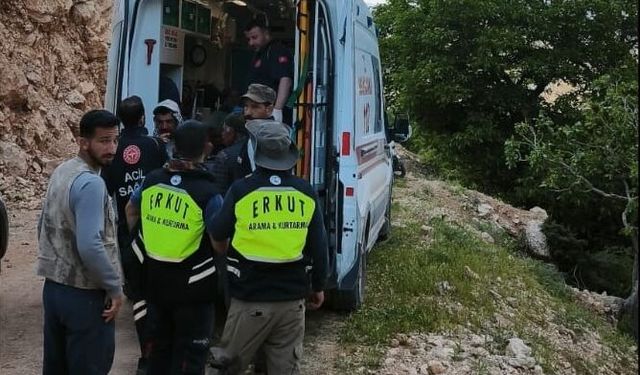 Süt sağarken rahatsızlanan kadın, katırla ambulansa ulaştırıldı